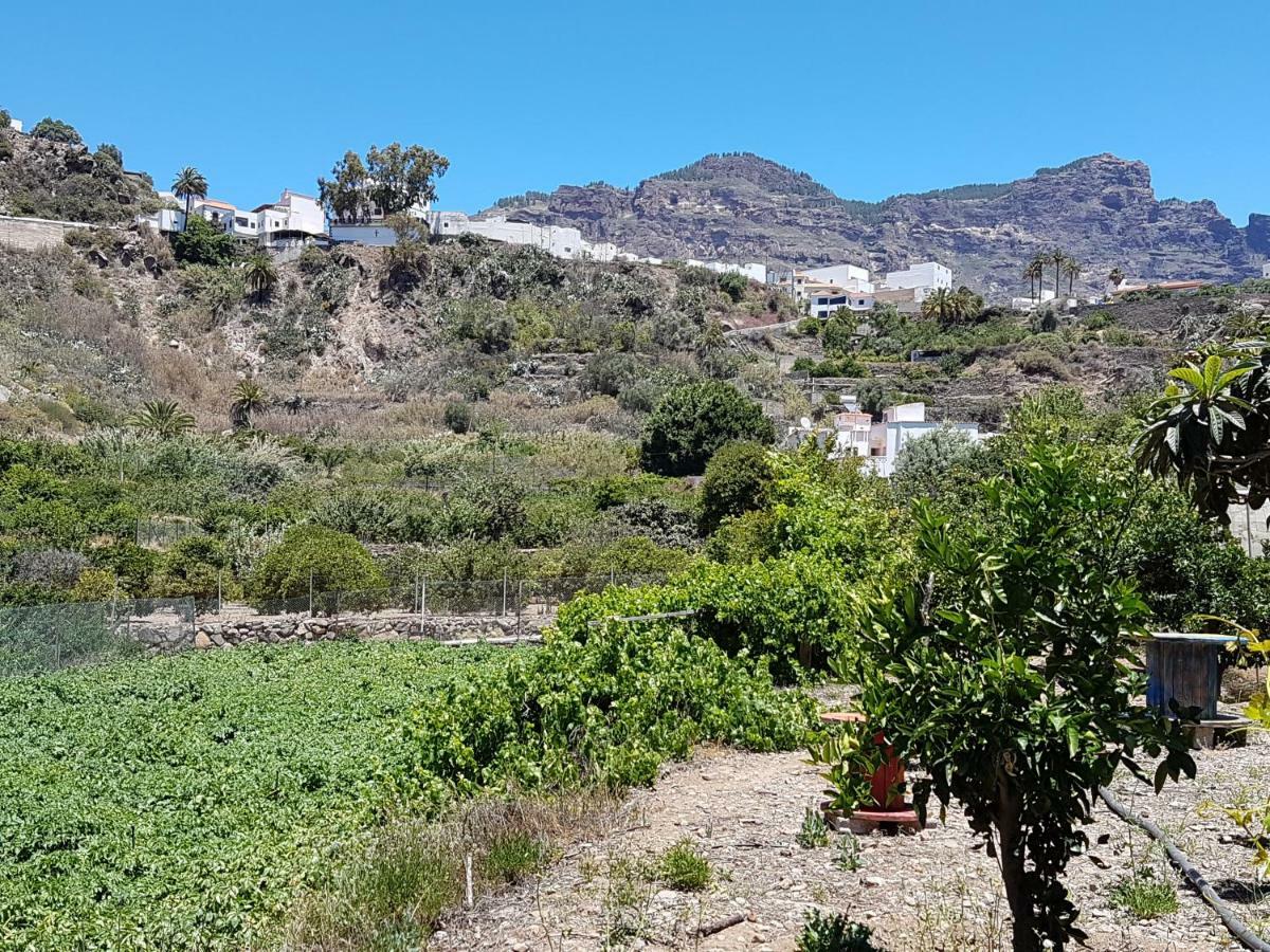 Casa Rural La Hoyita De Tunte San Bartolome de Tirajana  Exterior photo