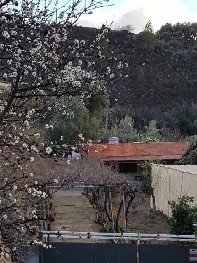Casa Rural La Hoyita De Tunte San Bartolome de Tirajana  Exterior photo